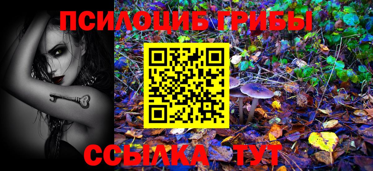 Псилоцибиновые грибы Psilocybe  Вход с VPN  Ступино 