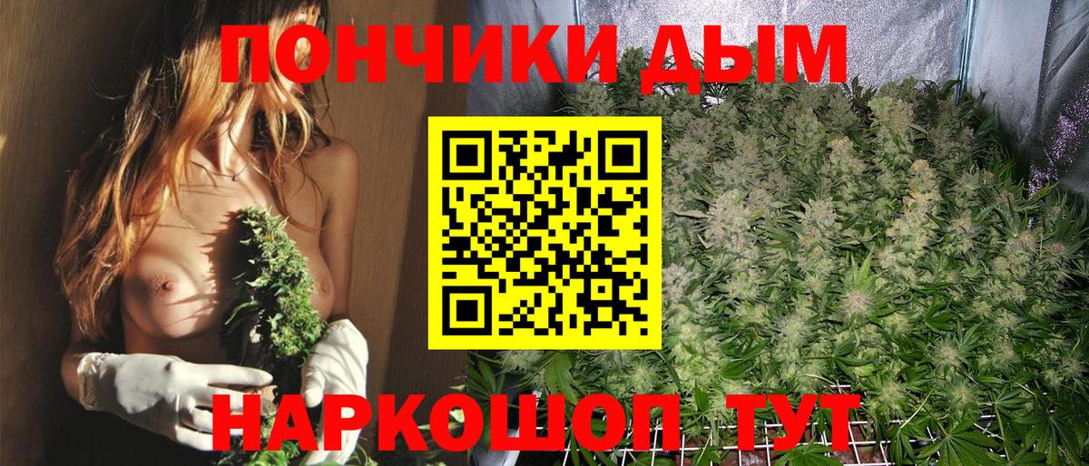 Бошки Шишки MAZAR Ступино